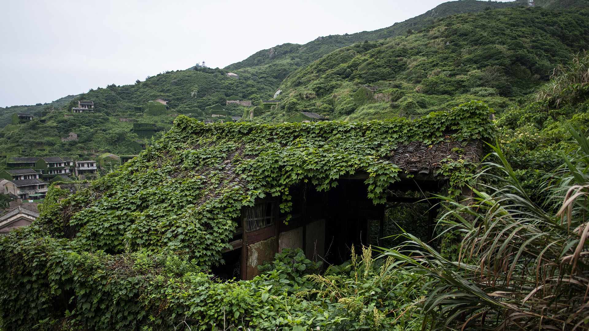 Abandoned village reclamation. Заброшенная деревня остров Шенгси. Хоутоувань Китай. Остров Шенгси зеленая деревня. Острова Шенгси, Китай.